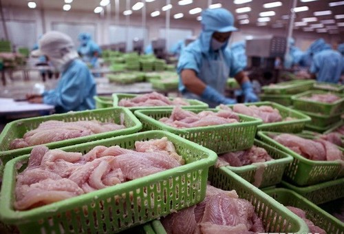Việt Nam đứng đầu về xuất khẩu cá sang Colombia - ảnh 1